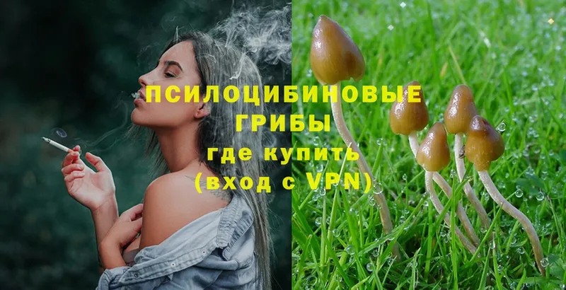 Галлюциногенные грибы Magic Shrooms  Уяр 